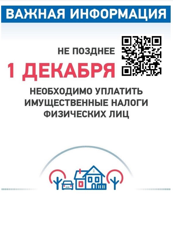 SeKQoNBunZk.jpg