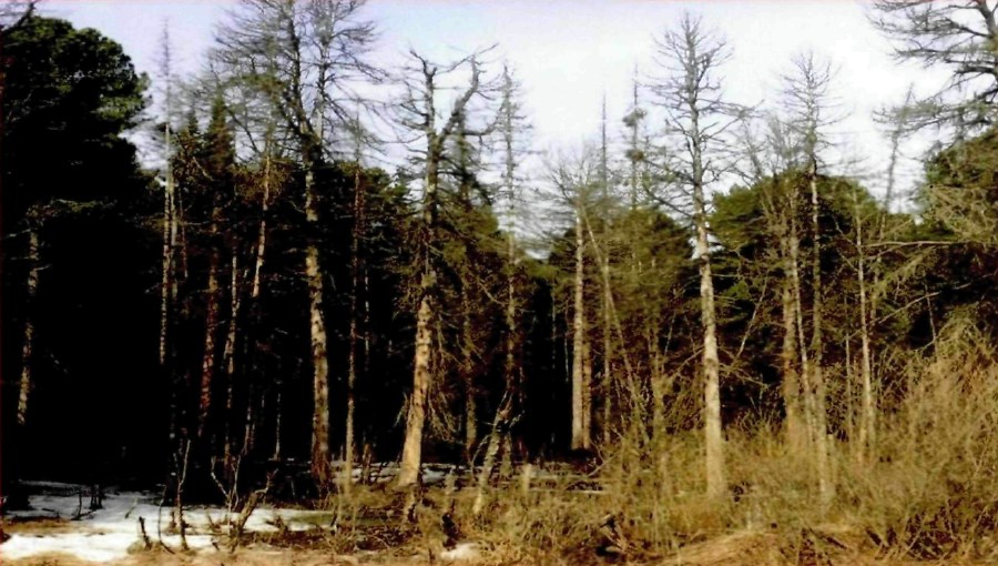 Screenshot_14.jpg