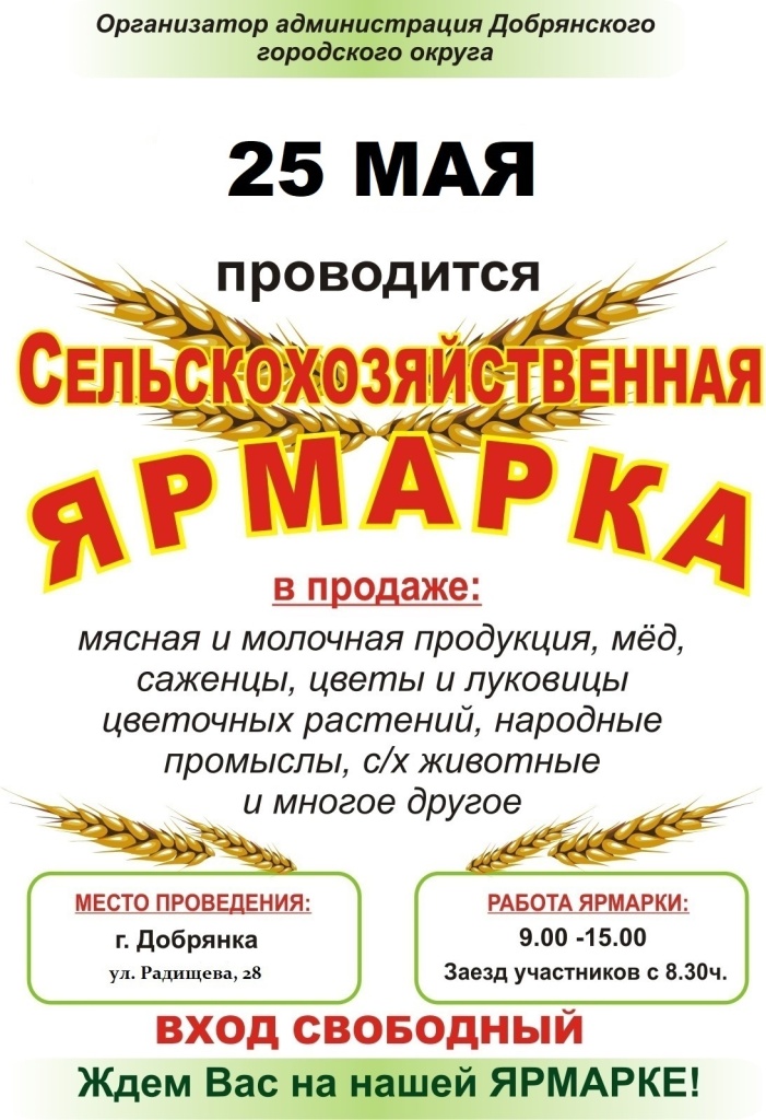 ZfxsI9I9g2U.jpg