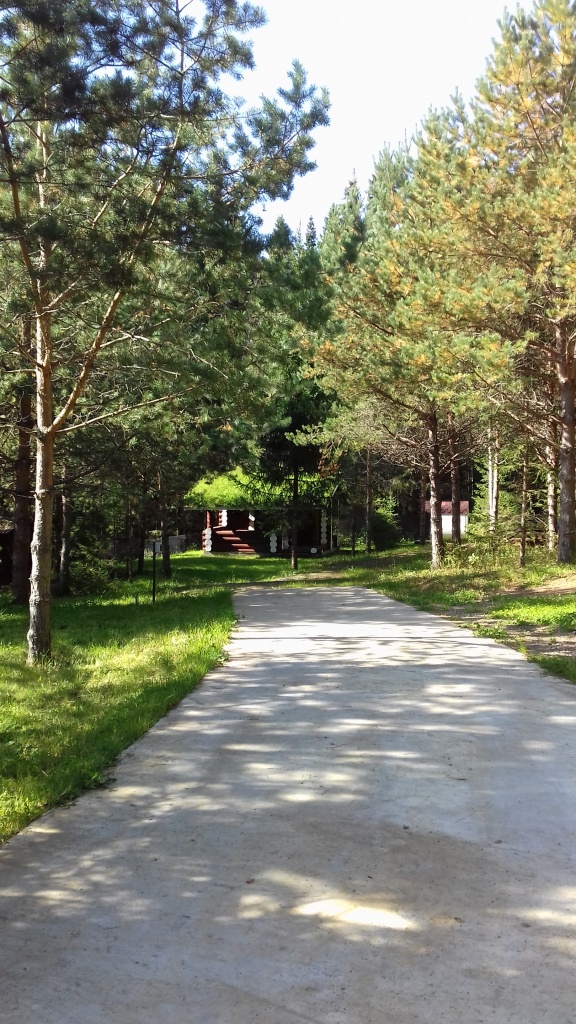 20190910_121752.jpg