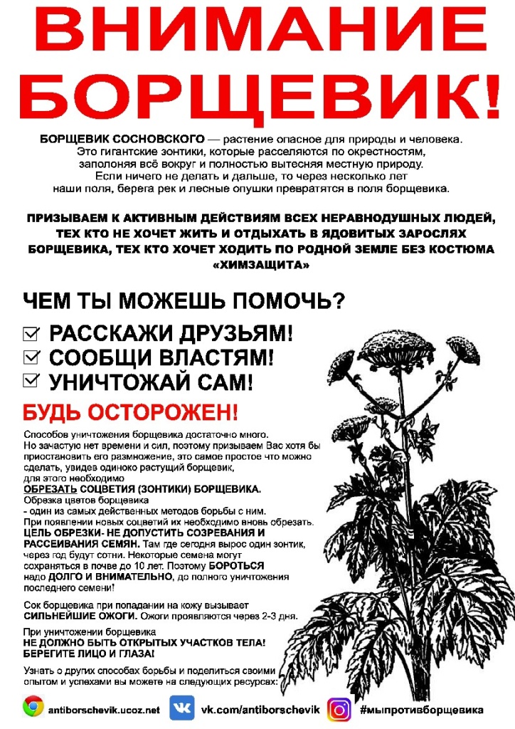 1607681324_listovka_pro_obrezku_ot_pavla.jpg