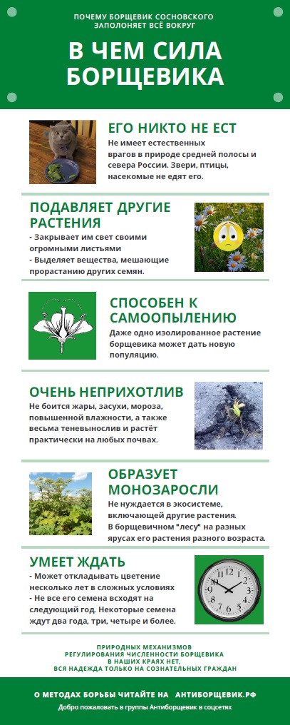 1607681442_v_chjom_sila_borshhevika.jpg