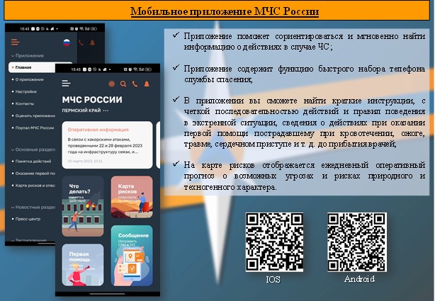 Screenshot_5.jpg