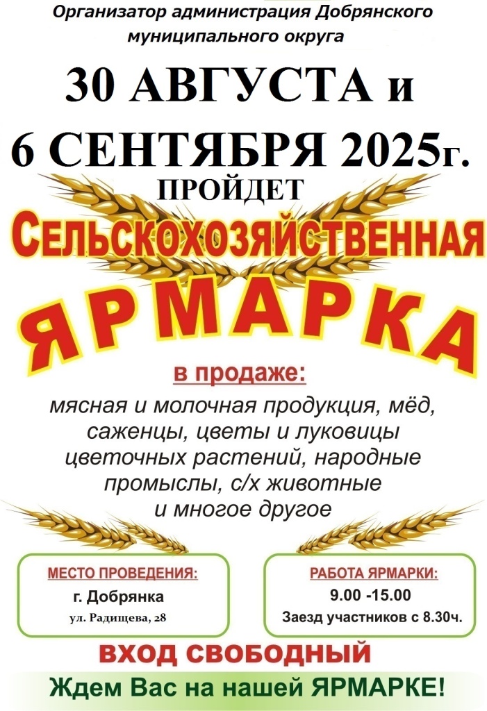 ЯРМАРКА ДОБРЯНКА (1).jpg