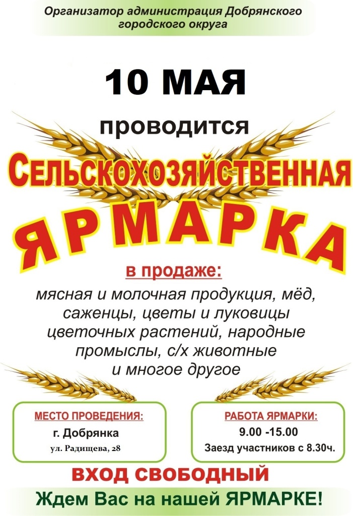 bHcjOW_cixk.jpg