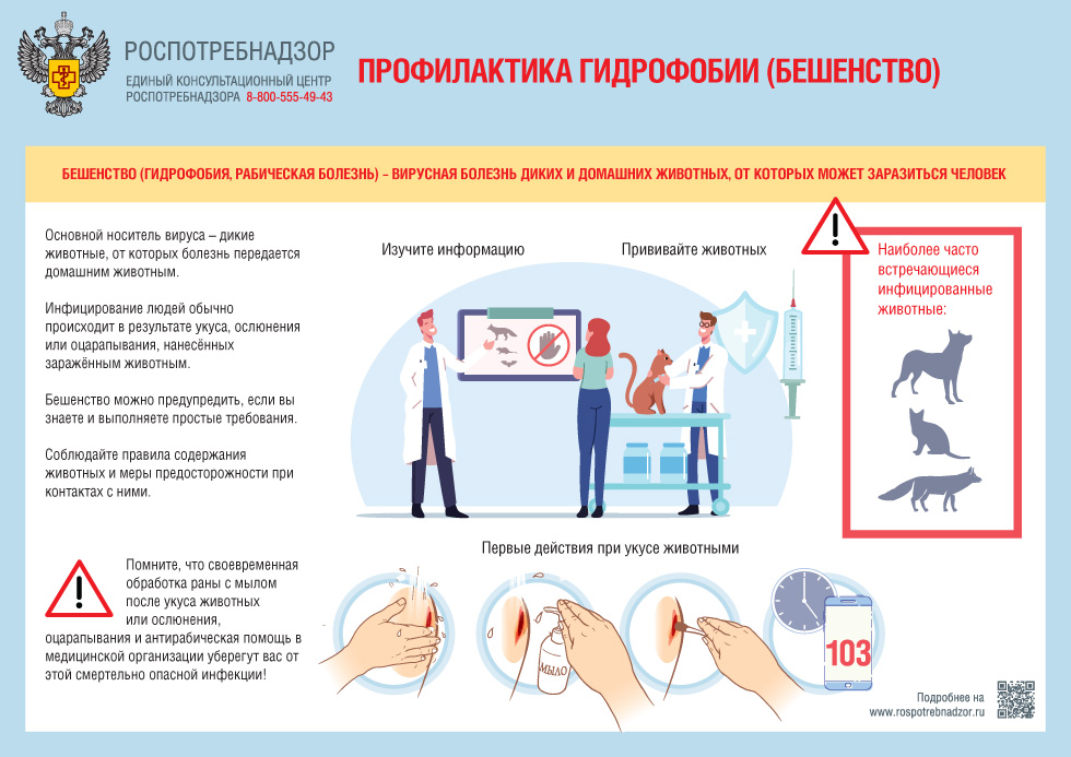 A4-Beshenstvo (5).jpg