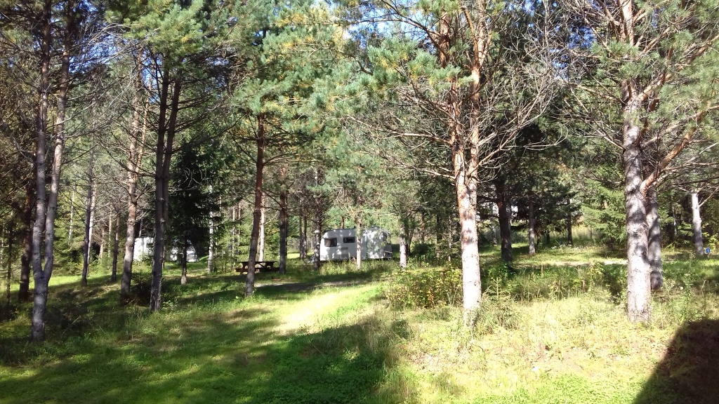 20190910_121319.jpg