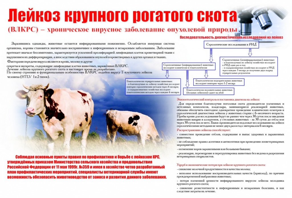 Image00001.jpg