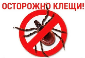 Картинка.jpg