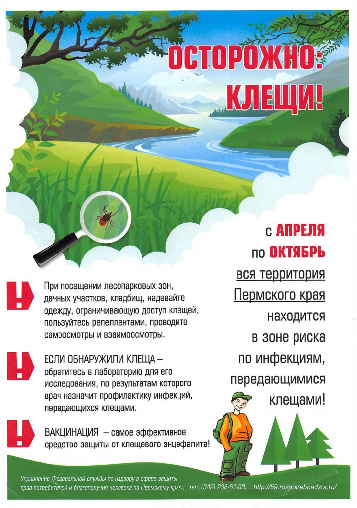 _клещи.jpg